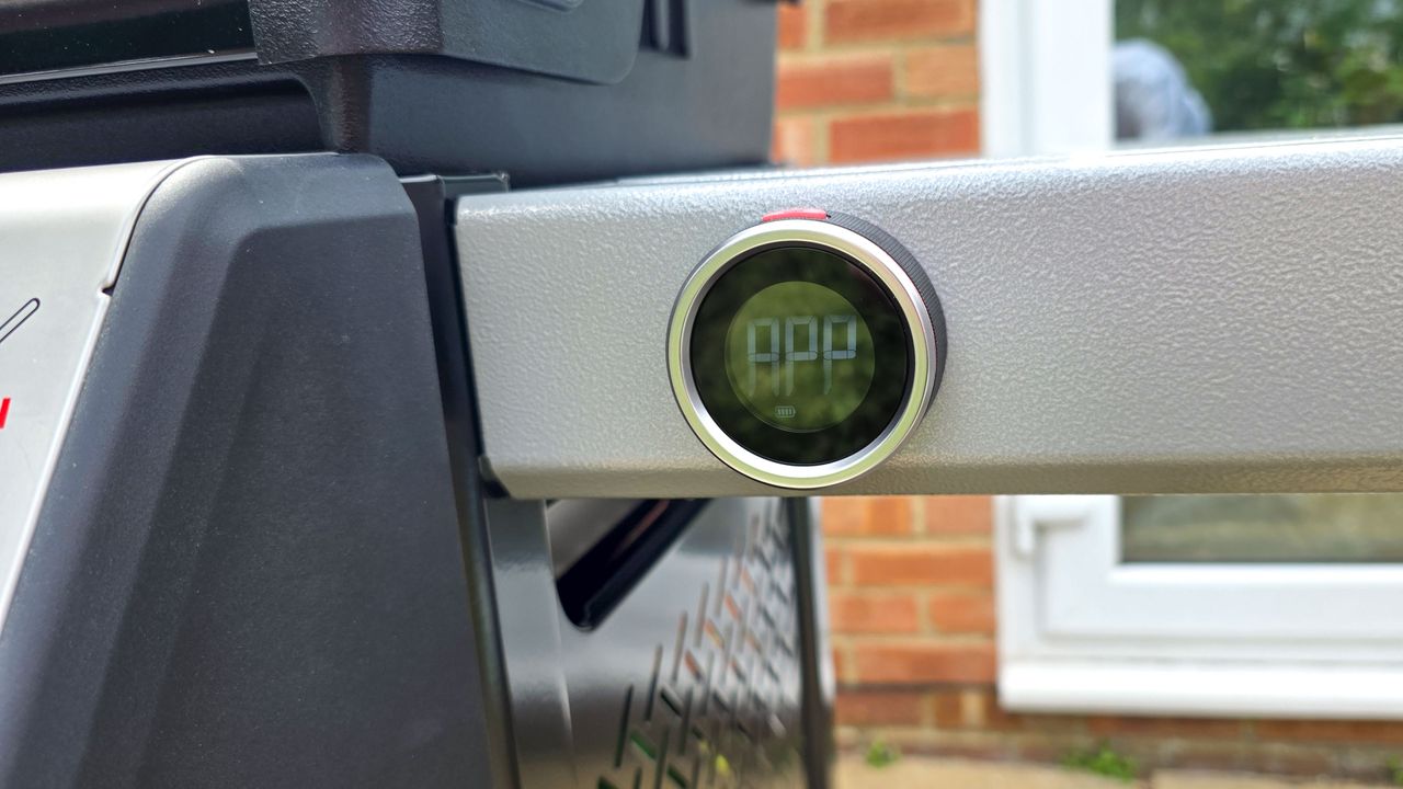 Weber Spirit EX325 grilling foods