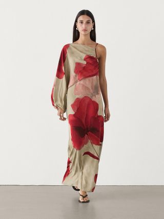 Massimo Dutti, Printed Dress