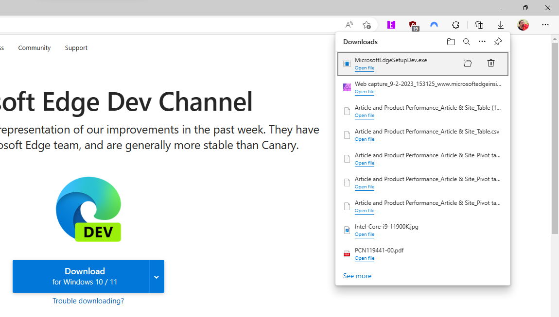 Microsoft Edge Dev installation on Windows 11