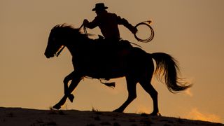 How wild was the Wild West? | Live Science