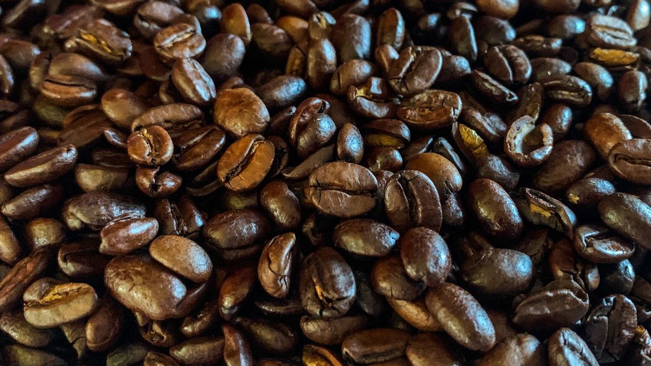 Coffee is one of the world&amp;#039;s most popular drinks