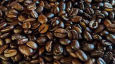 Coffee is one of the world's most popular drinks