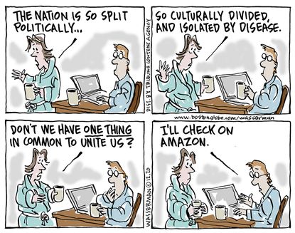 Editorial Cartoon U.S. political divisions Amazon