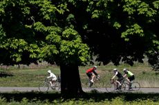 Cyclists in Richmond Park, west London