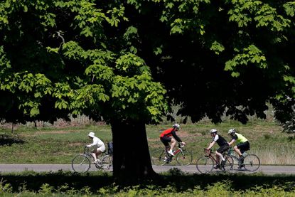 Cyclists in Richmond Park, west London