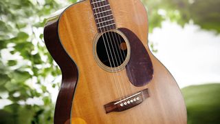 Martin acoustic guitar in a forest