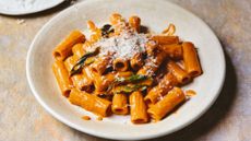 rigatoni with no-vodka sauce