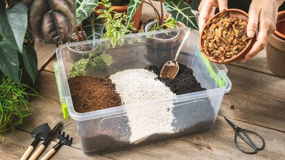 Variety of soilless potting mix ingredients in a plastic tub