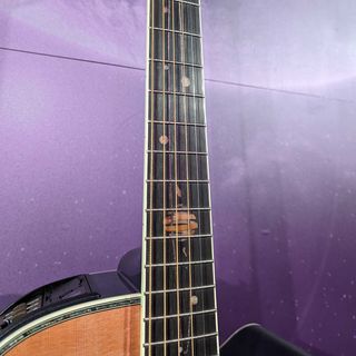 Takamine LTD2024 solar system guitar