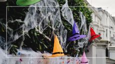 picture of fake cobwebs on hedge with witches hats