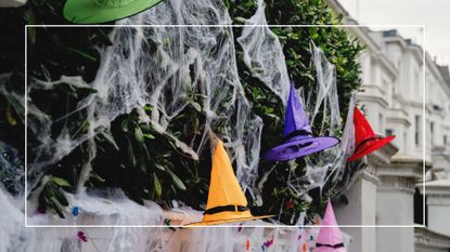 picture of fake cobwebs on hedge with witches hats