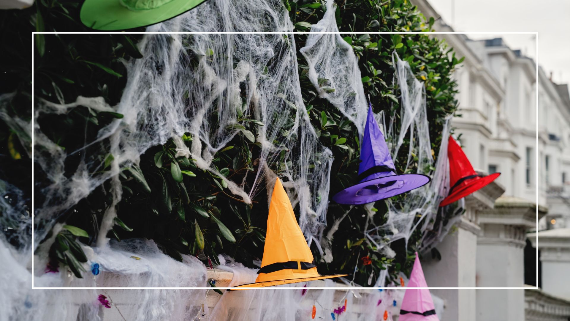picture of fake cobwebs on hedge with witches hats 