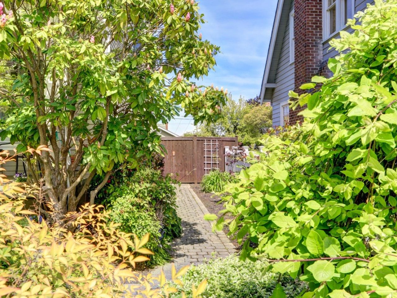 A walkway and plants along the side of a house