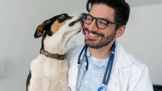 Dog licking vet