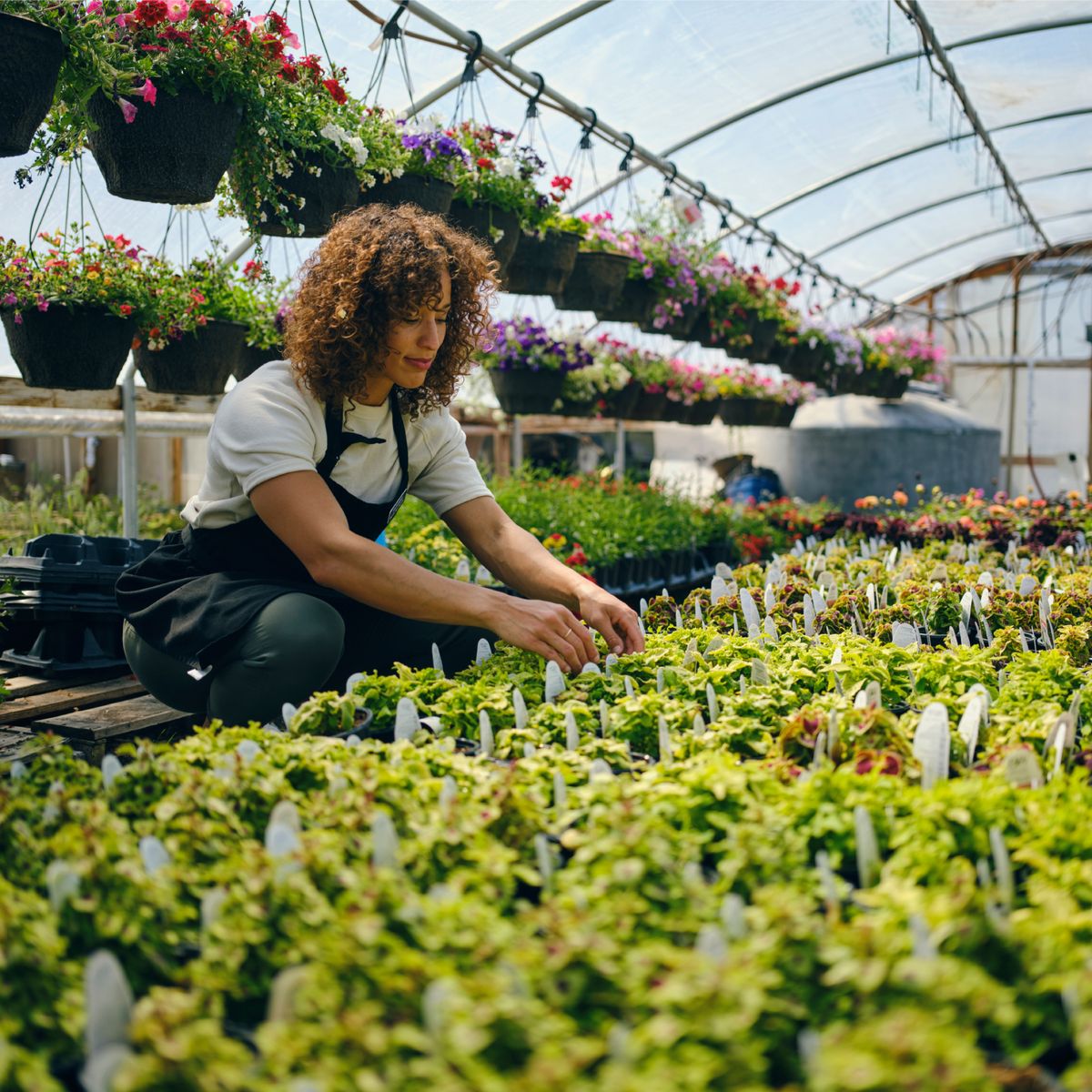 12 Secrets Garden Center Employees Wish Shoppers Knew