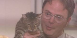 Dwight giving Angela a new cat on The Office.