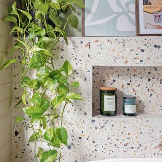 close up of some terrazzo tiling in a bathroom with a trailing houseplant
