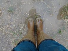 wellies-e1539003180723.jpg