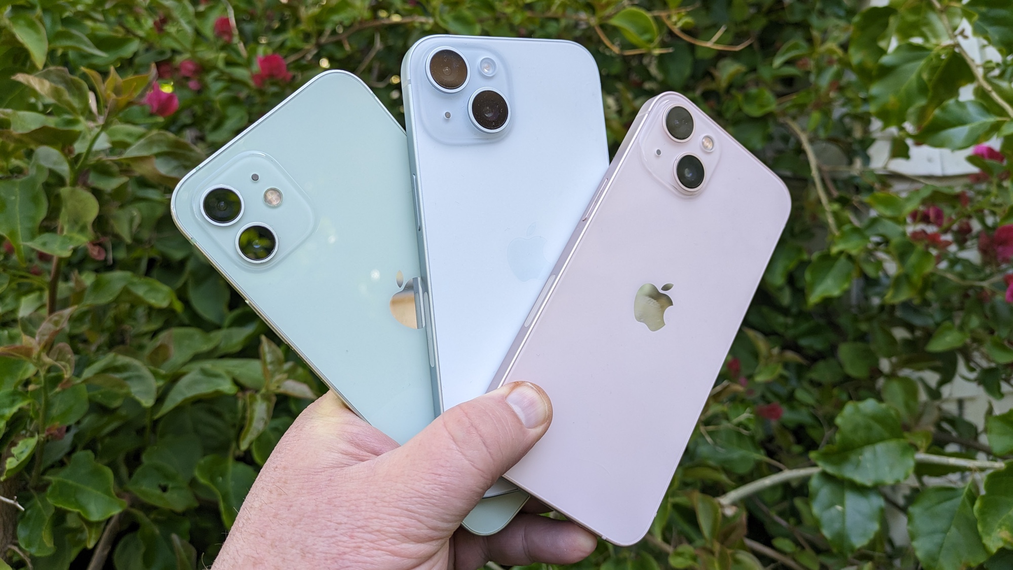 Colors of iPhone 12, iPhone 13, iPhone 15