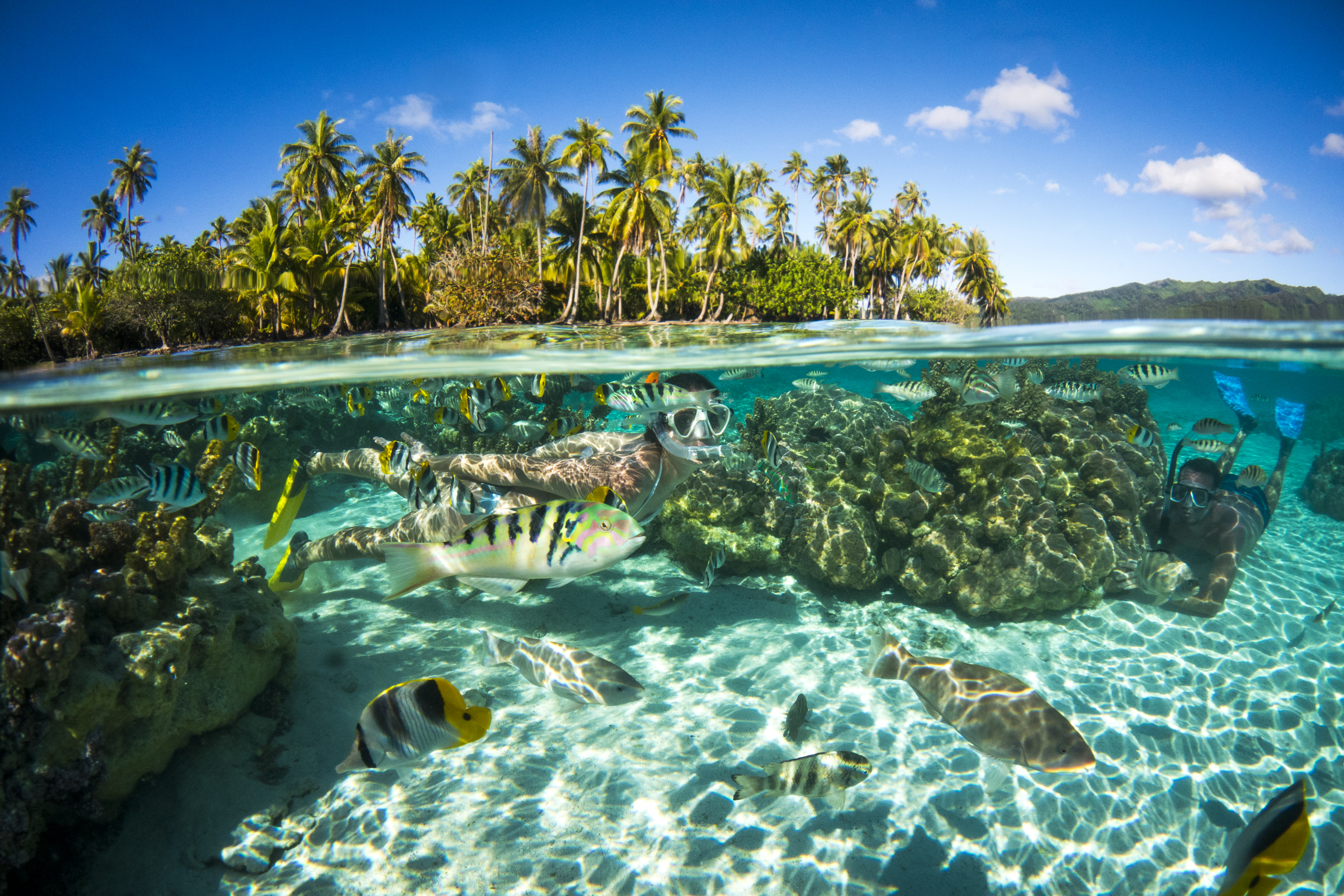 Snorkelers underwater with fish in Moorea
