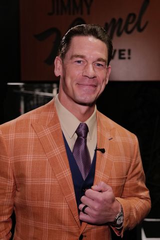 john cena in brown plaid suit and purple tie