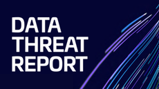 Data security in the agentic age: AI is the new insider threat to retail and e-commerce organizations