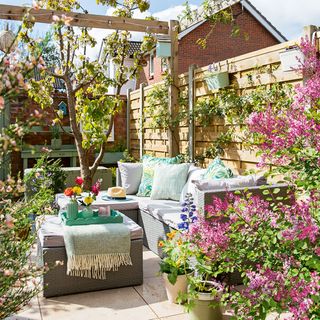 Garden with wooden pergola and seating area