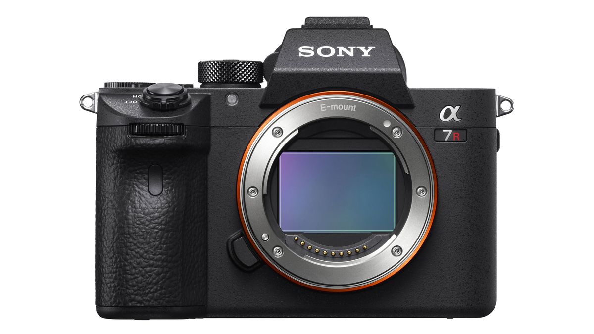 Sony A7R III vs A7 III: resolution versus value, megapixels versus ...