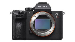 Sony A7R III vs A7 III: Sony A7R III