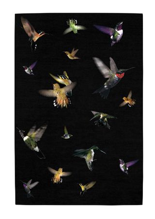 Hummingbird' rug