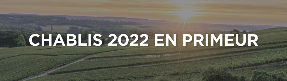 Chablis 2022 hubpage