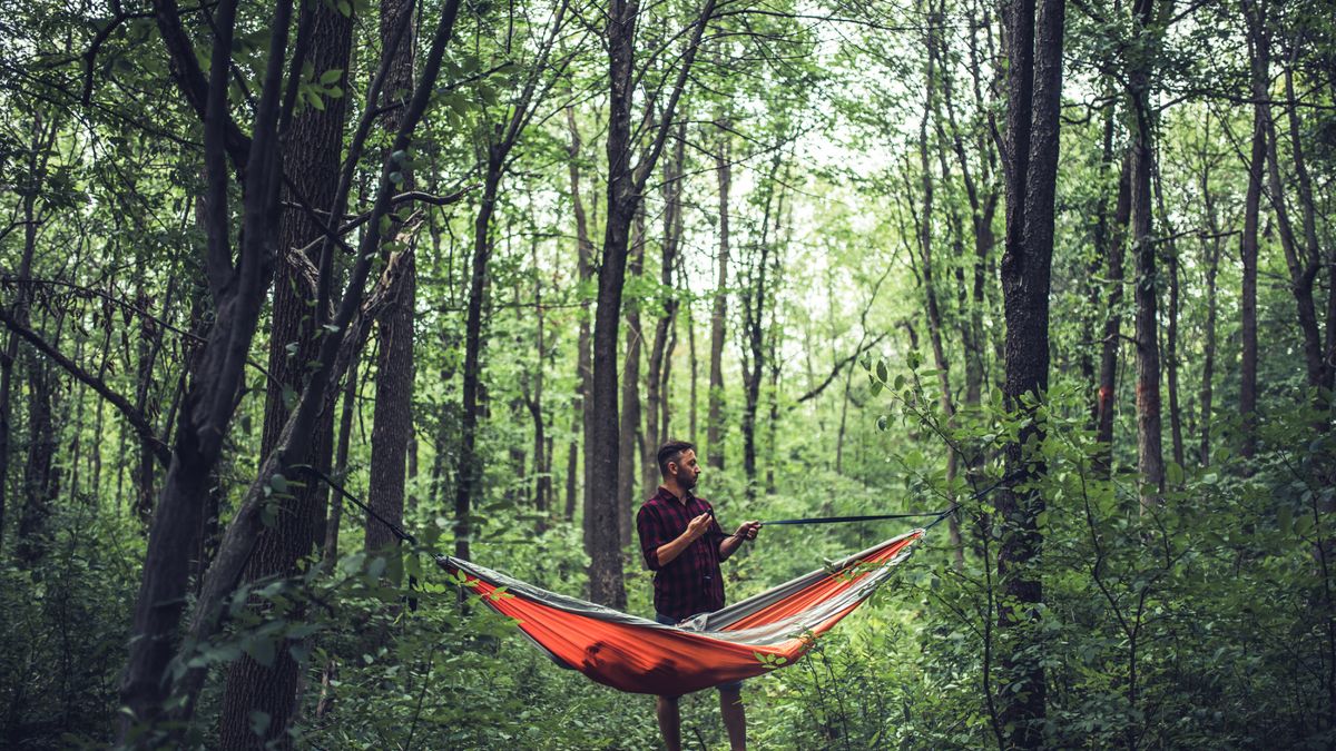 Why sleep in a hammock? A celebration of a comfortable, lightweight