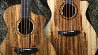 Breedlove Special Edition Myrtlewood acoustics