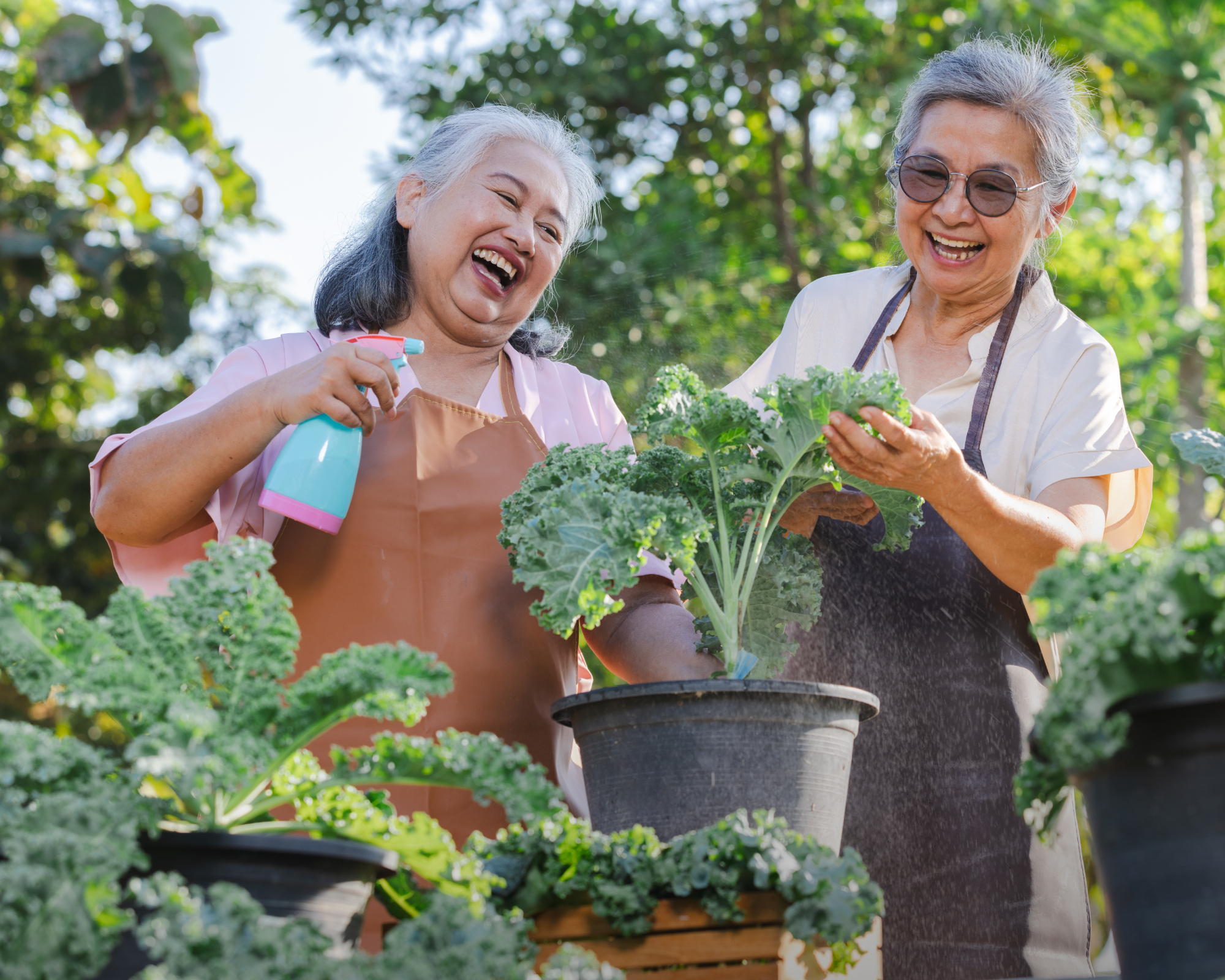 two friends gardening together and enjoying each other's company