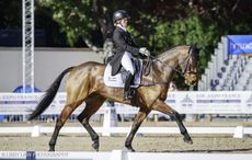 WEB-17-PAU-GBR-Canter-2193.jpg