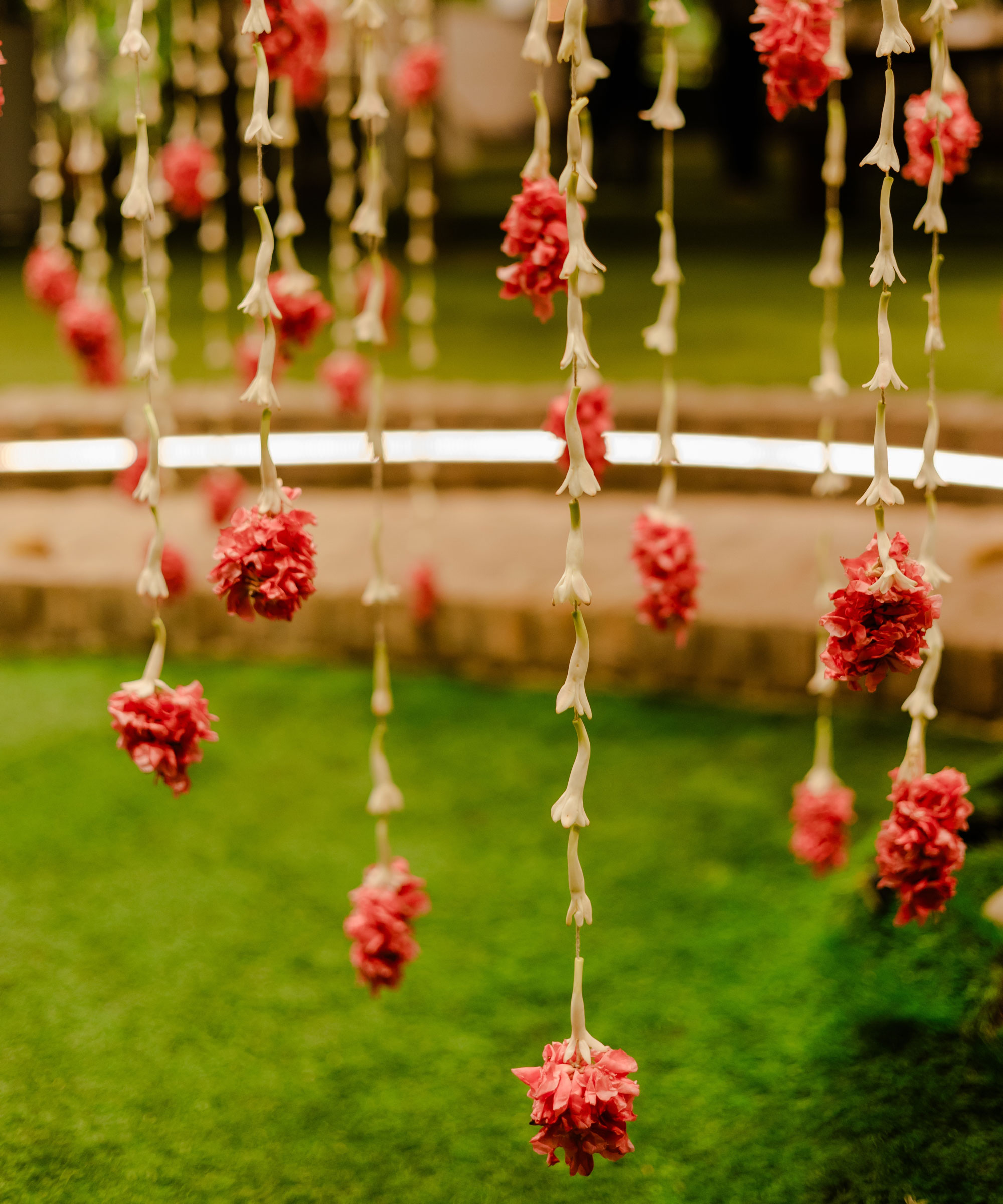 red garland hanging in garden