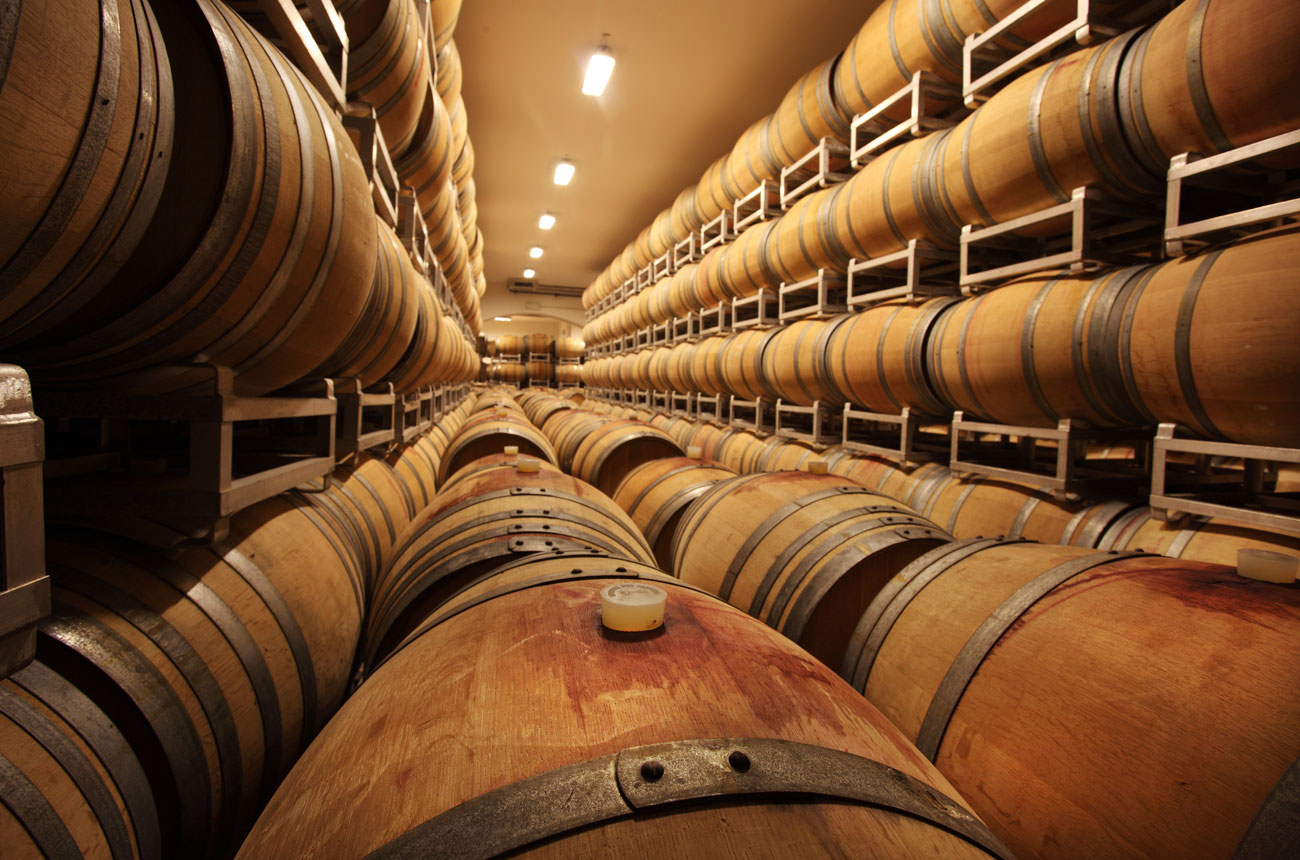 Arnaldo-Caprai-Barrique-in-ageing-cellar