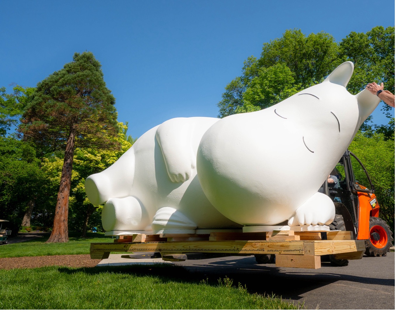 Moomin