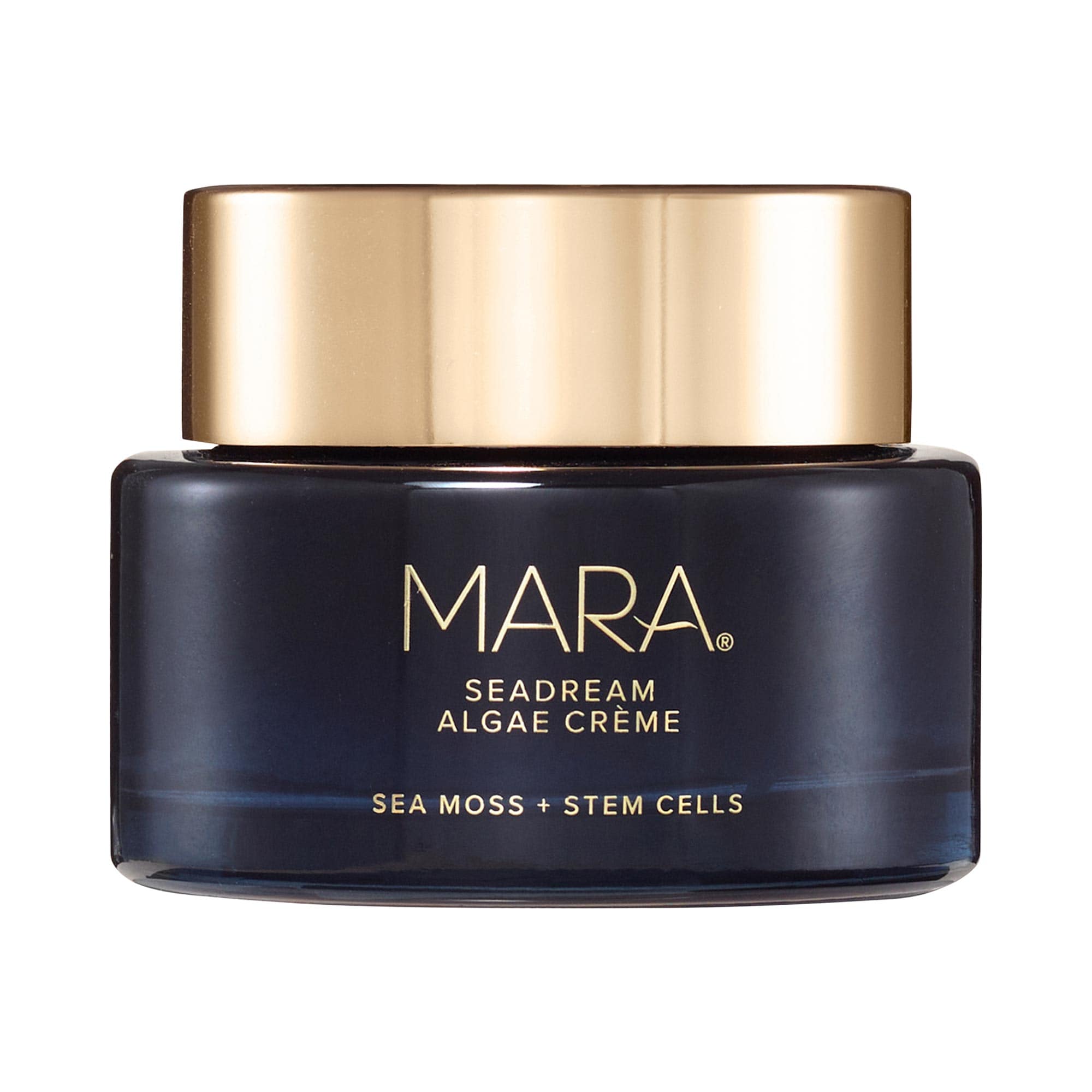 Seadream Algae Creme Moisturizer for Firming &amp; Tightening With Sea Moss + Peptides