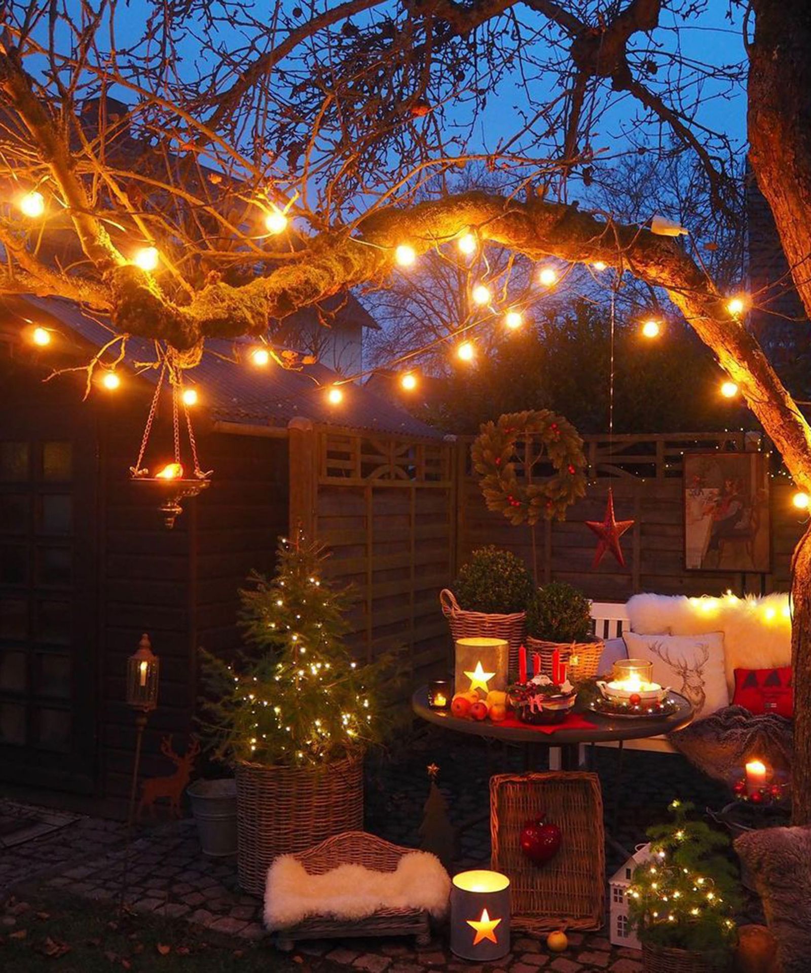 Christmas light ideas for outdoor trees: 12 ways to add instant sparkle ...