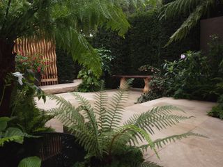Inside the secret garden at Chelsea Flower Show, with a bench and part of the wooden louvred wall visible