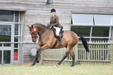 THE-IMPERIAL-CHOICE-01_106152021_202716131.jpg