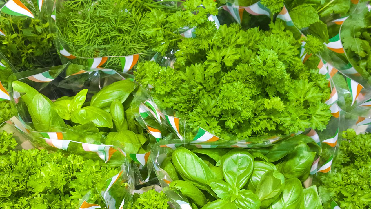 Grocery store herbs in plastic wrap packed closely together