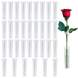 33 Pcs Flower Water Tubes, Reusable Plastic Floral Water Tubes With Silicone Caps, Clear Flower Storage Vials for Keeping Plants Flower Fresh Flower Arranging - 7.2x1.8cm/2.8x0.7inch