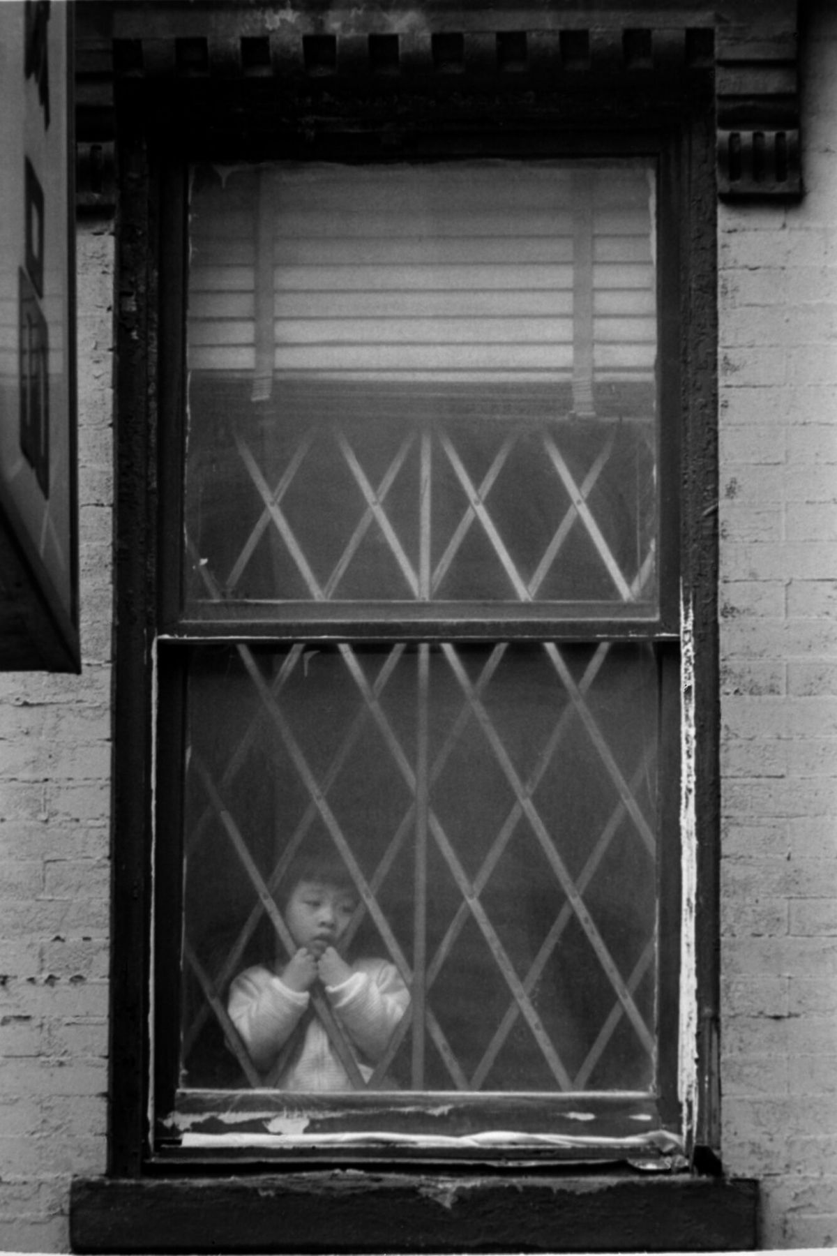 A small child in a pale jumper peers out through a diamond-patterned folding security gate in the lower pane of a sash window.