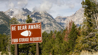 Bear sign at Yellowstone