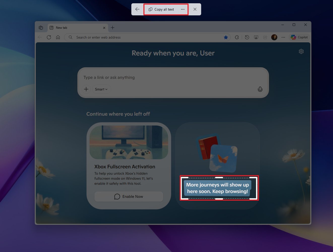 Snipping toolbar extract text