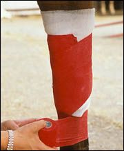 bandage.jpg