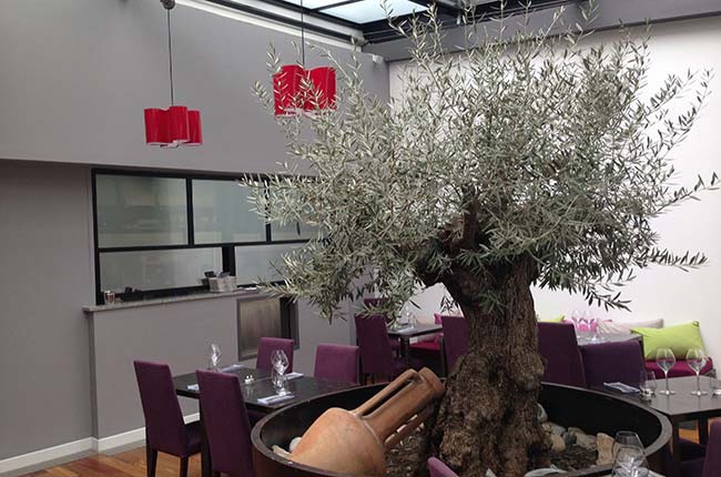 Top Provence restaurants