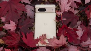 The Pixel 7 lying in red leaves